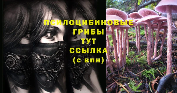 прущие крисы Зерноград