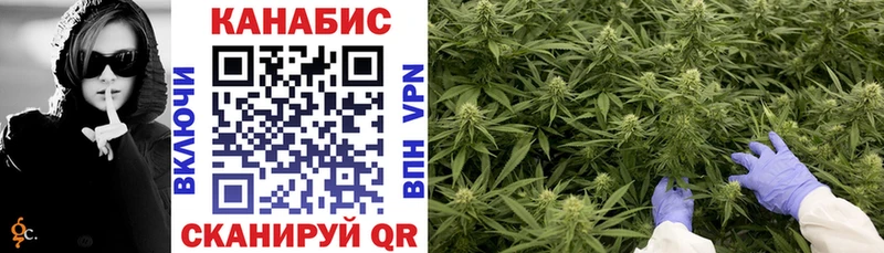 Канабис семена  Купить закладки  Светлый 